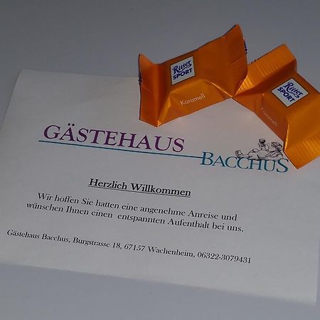 Gaestehaus Bacchus Wachenheim an der Weinstraße Kültér fotó