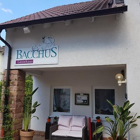 Gaestehaus Bacchus Wachenheim an der Weinstraße Kültér fotó