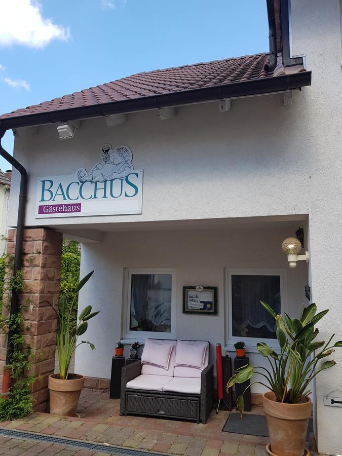 Gaestehaus Bacchus Wachenheim an der Weinstraße Kültér fotó