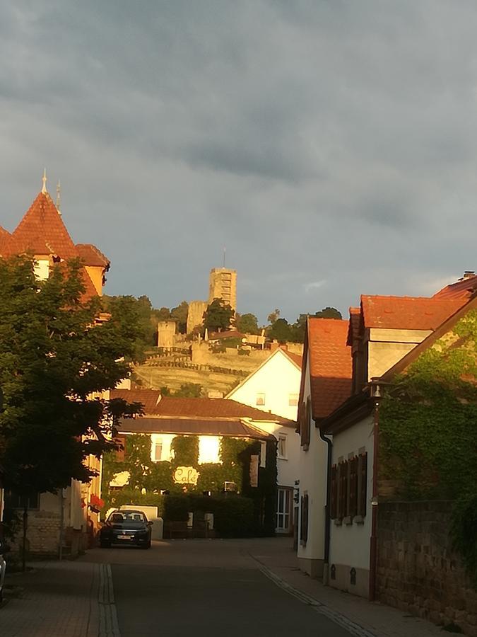 Gaestehaus Bacchus Wachenheim an der Weinstraße Kültér fotó