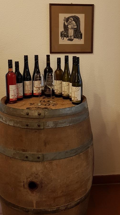 Gaestehaus Bacchus Wachenheim an der Weinstraße Kültér fotó